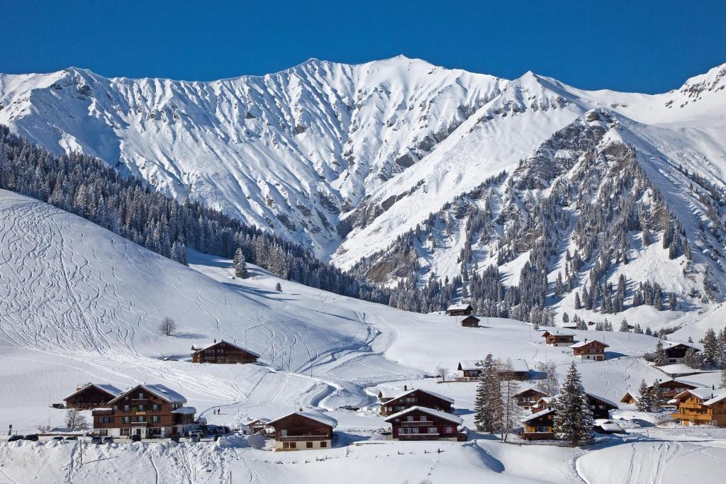 Hotel Des Alpes Αντελμπόντεν Εξωτερικό φωτογραφία