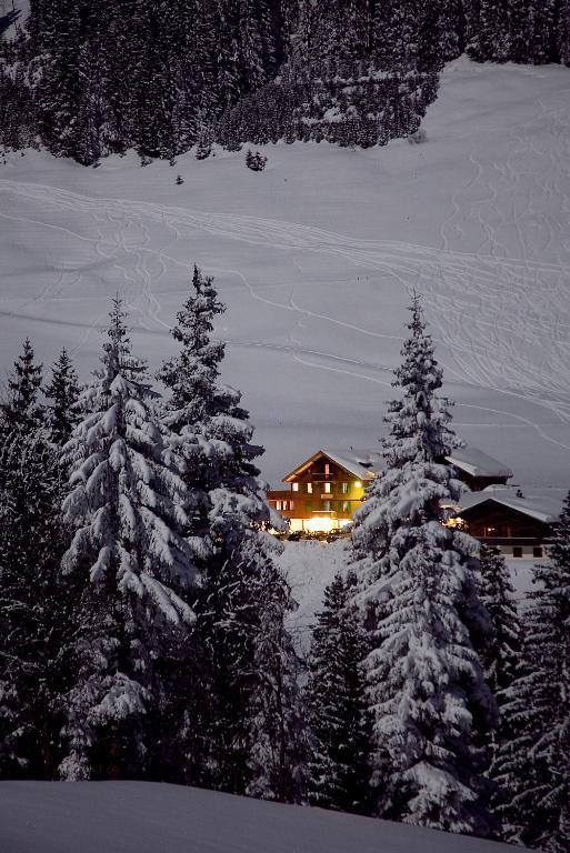 Hotel Des Alpes Αντελμπόντεν Εξωτερικό φωτογραφία