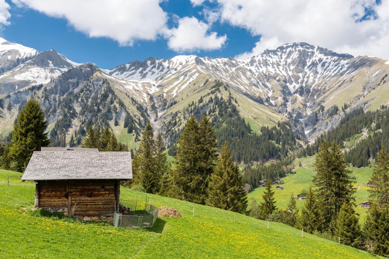 Hotel Des Alpes Αντελμπόντεν Εξωτερικό φωτογραφία